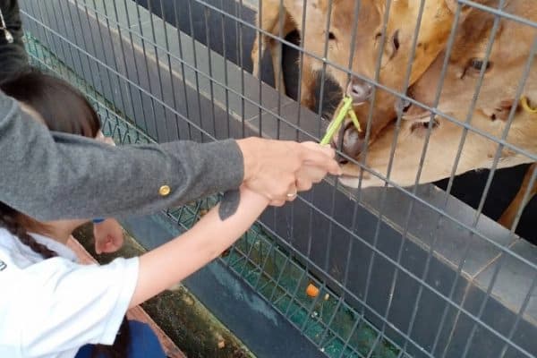 Lawatan EIP · 99 Wonderland Park