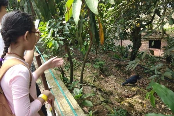 Lawatan ke KL Bird Park