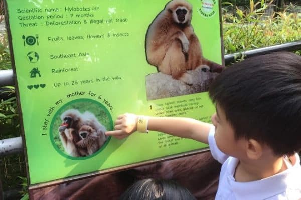 Lawatan ke Zoo KL