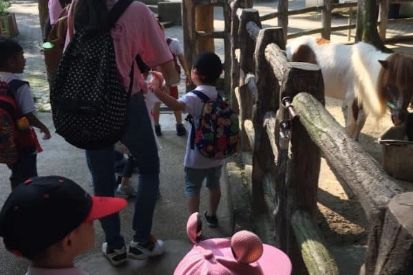 Lawatan ke Zoo KL