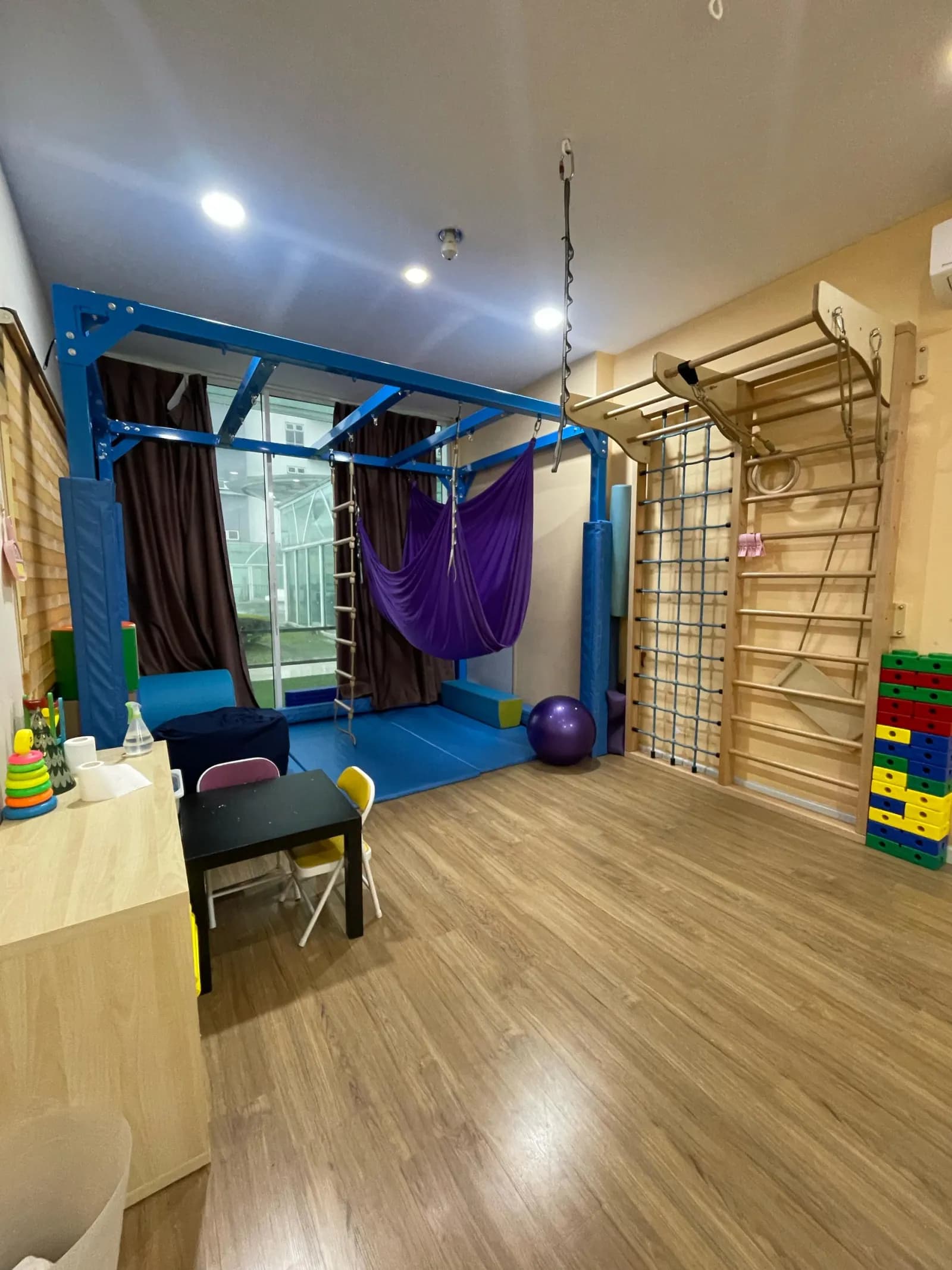 Therapaeds Kota Damansara — sensory gym